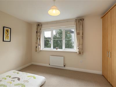 Picture 24